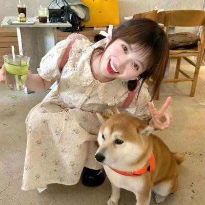 小小北极熊